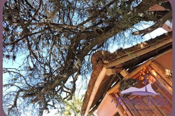 DUPLEX PARA 2 A 6 PERSONAS CON PILETA COMPARTIDA. PARRILLA. COCHERA. EQUIPAMIENTO FULL