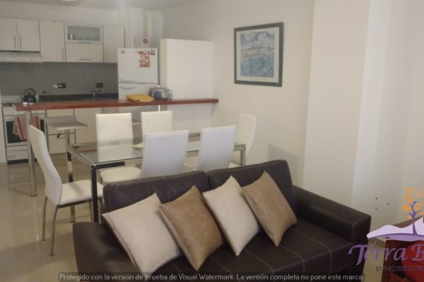 DEPARTAMENTO PARA 4 PLENO CENTRO CON PILETA. QUINCHO. COCHERA. EQUIPAM. FULL