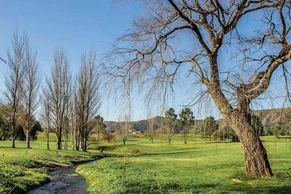 LOTE EN COUNTRY CARLOS PAZ GOLF - SAN ANTONIO DE ARREDONDO
