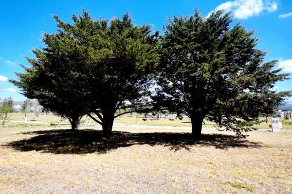 LOTE EN COUNTRY CARLOS PAZ GOLF - SAN ANTONIO DE ARREDONDO