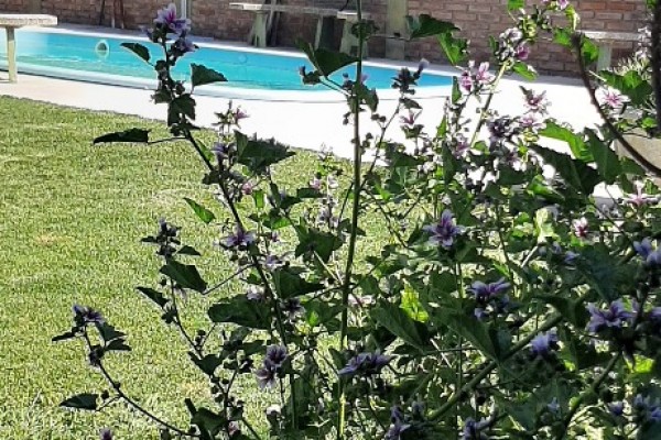 CHALET PARA 6 PERSONAS CON PARQUE - PILETA - COCHERA, A METROS DEL LAGO