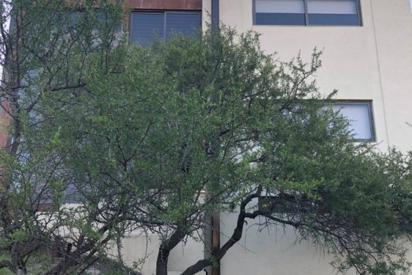 HERMOSA CASA EN BARRIO CERRADO DE MONTAÑA CON PILETA PARA 8 PERSONAS