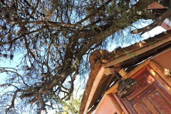 DUPLEX PARA 2 A 6 PERSONAS CON PILETA COMPARTIDA. PARRILLA. COCHERA. EQUIPAMIENTO FULL