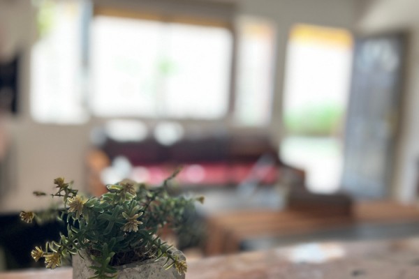 CABAÑA 4: 1 DORMITORIO