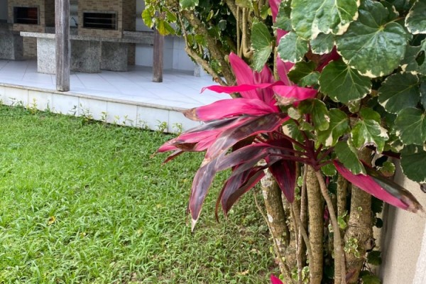 RESIDENCIAL DOM DIEGO - DEPARTAMENTO SOBRE LA PLAYA - INGLESES CENTRO