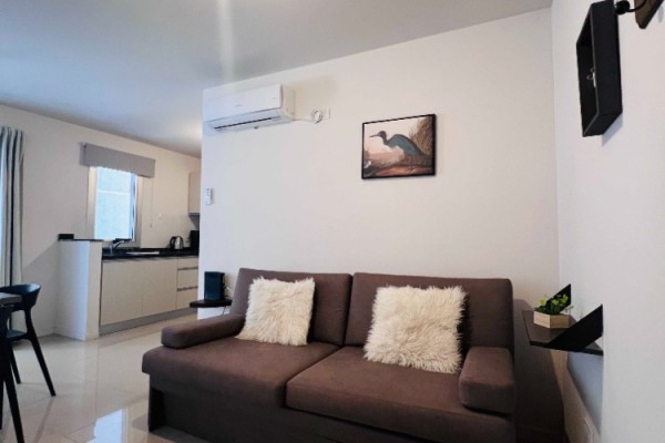 DEPARTAMENTO TIPO MONOAMBIENTE CENTRICO EDIFICIO OPERA