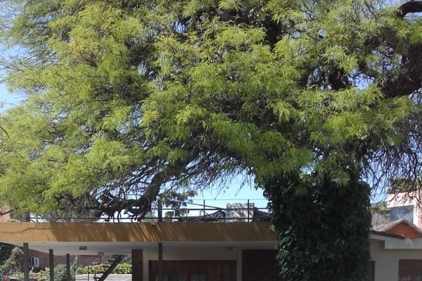 cASA PARA 6 PERSONAS FRENTE AL LAGO! PARQUE - PILETA- VISTA INCREIBLE