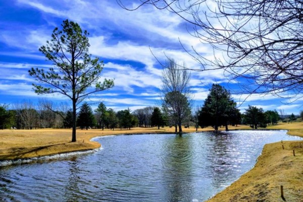 LOTE EN COUNTRY CARLOS PAZ GOLF - SAN ANTONIO DE ARREDONDO