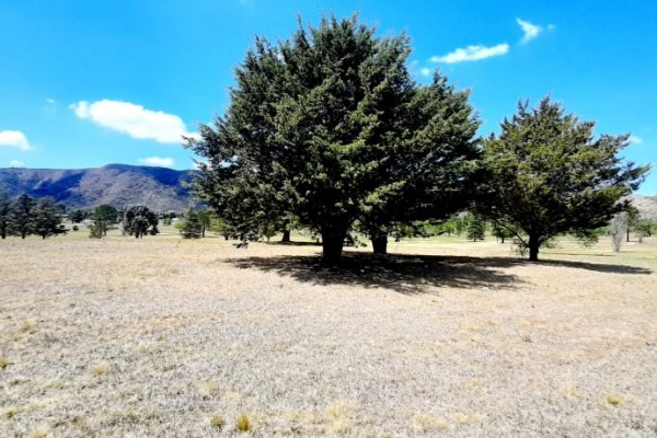 LOTE EN COUNTRY CARLOS PAZ GOLF - SAN ANTONIO DE ARREDONDO