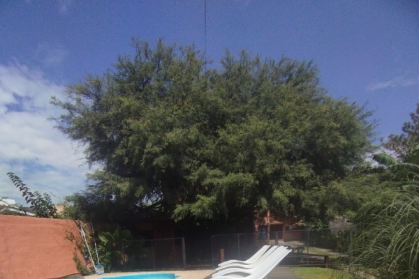 DUPLEX PARA 2 A 6 PERSONAS CON PILETA COMPARTIDA. PARRILLA. COCHERA. EQUIPAMIENTO FULL