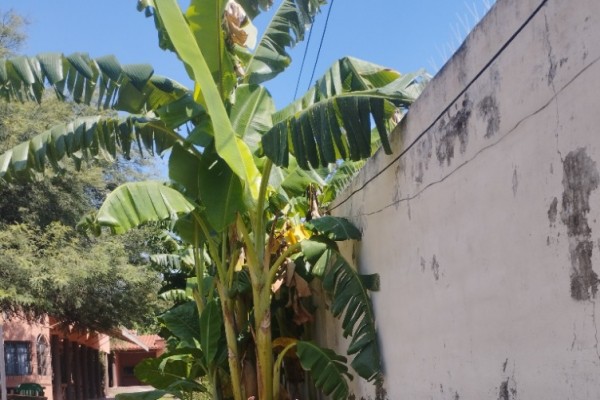 DUPLEX PARA 2 A 6 PERSONAS CON PILETA COMPARTIDA. PARRILLA. COCHERA. EQUIPAMIENTO FULL