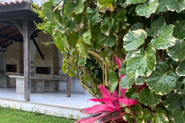 RESIDENCIAL DOM DIEGO - DEPARTAMENTO SOBRE LA PLAYA - INGLESES CENTRO