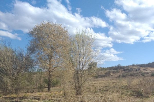 LOTE EN Bº VALLE DEL SOL - SANTA CRUZ DEL LAGO